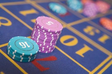 The Dog House slot game interface on 11tbet showing reels and bonus feature